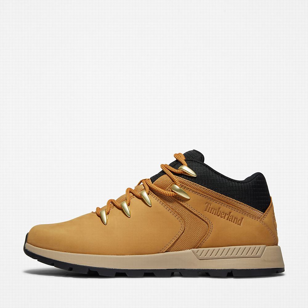 Pánské Tenisky Timberland Sprint Trekker Super Oxford Světle Hnědé | TI16594-534