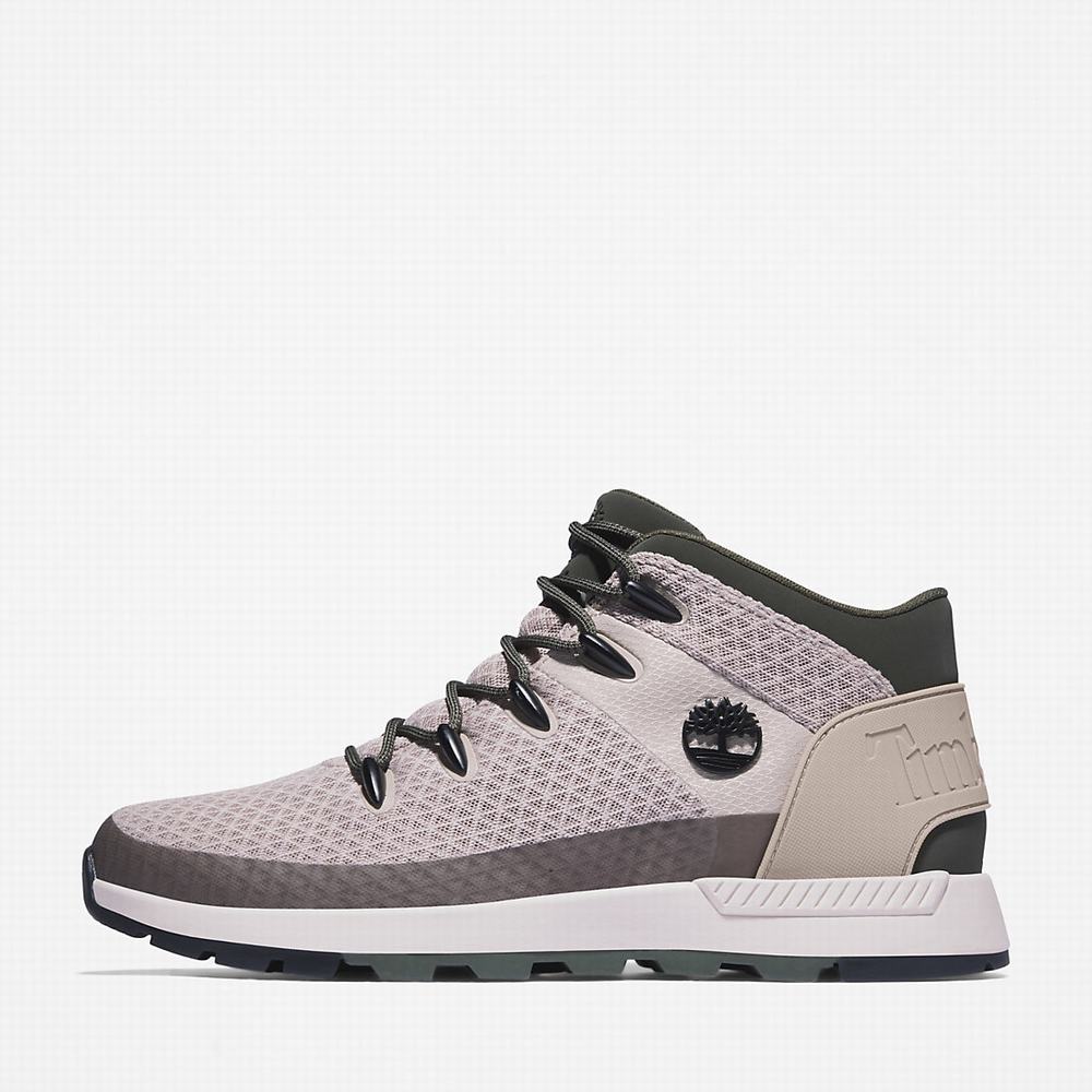 Pánské Tenisky Timberland Sprint Trekker Mid Hiker Béžový | TI50436-823
