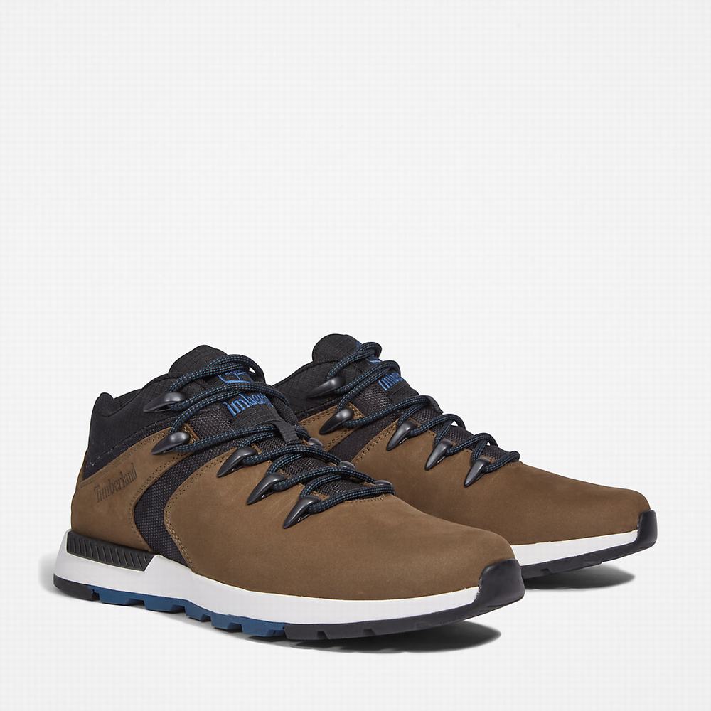 Pánské Tenisky Timberland Sprint Trekker Super Oxford Hnědé | TI71580-468