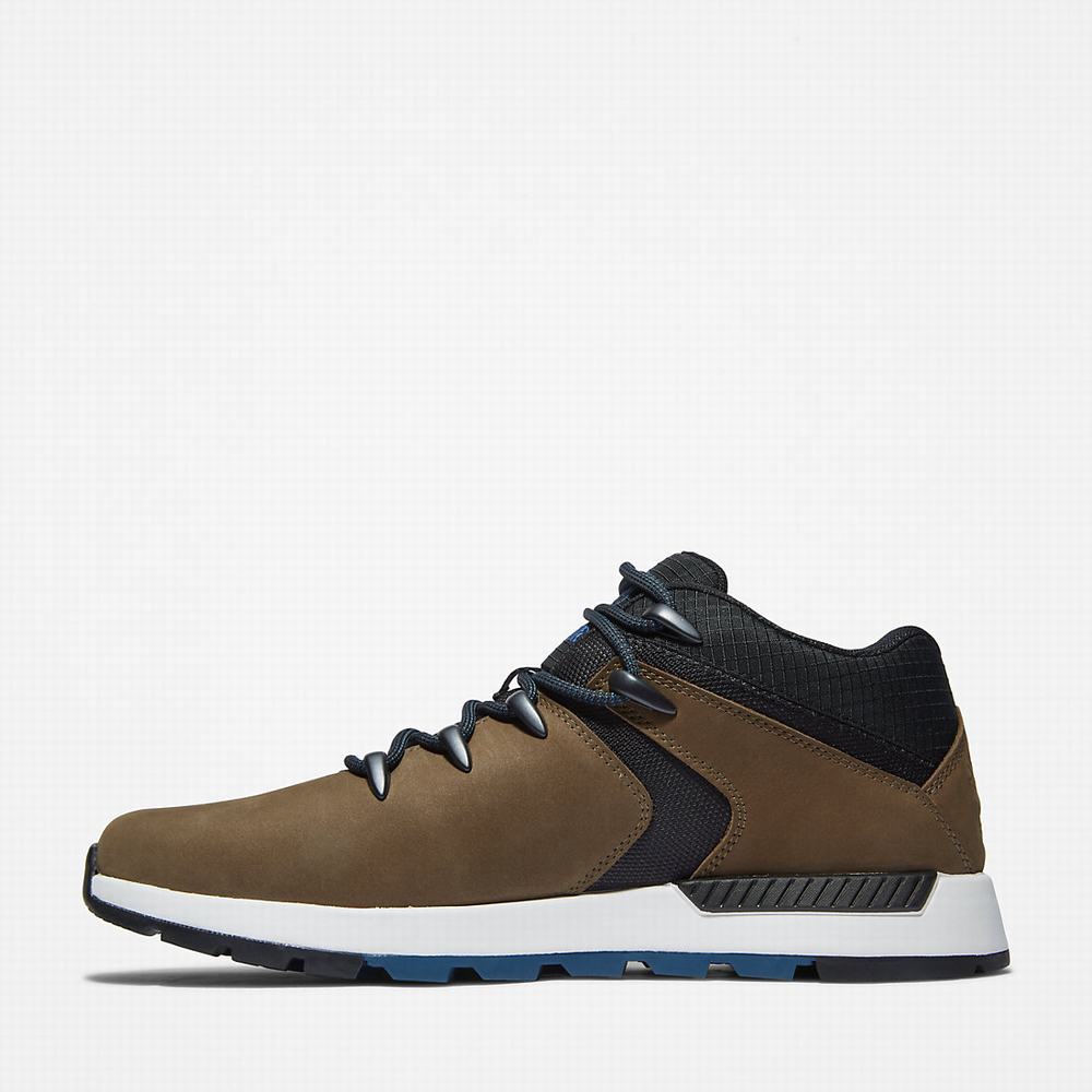 Pánské Tenisky Timberland Sprint Trekker Super Oxford Hnědé | TI71580-468