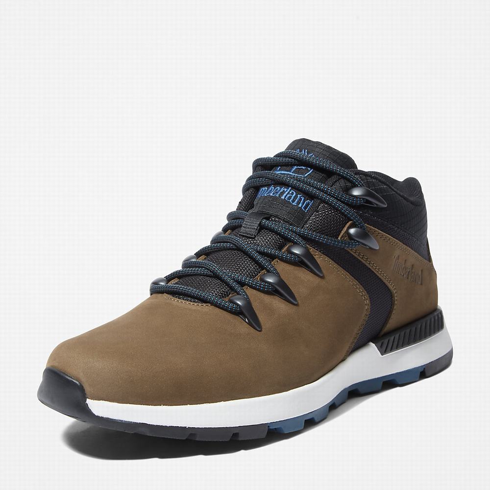 Pánské Tenisky Timberland Sprint Trekker Super Oxford Hnědé | TI71580-468