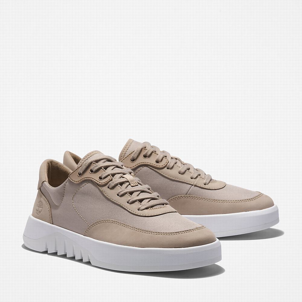 Pánské Tenisky Timberland Supaway Béžový | TI98045-370