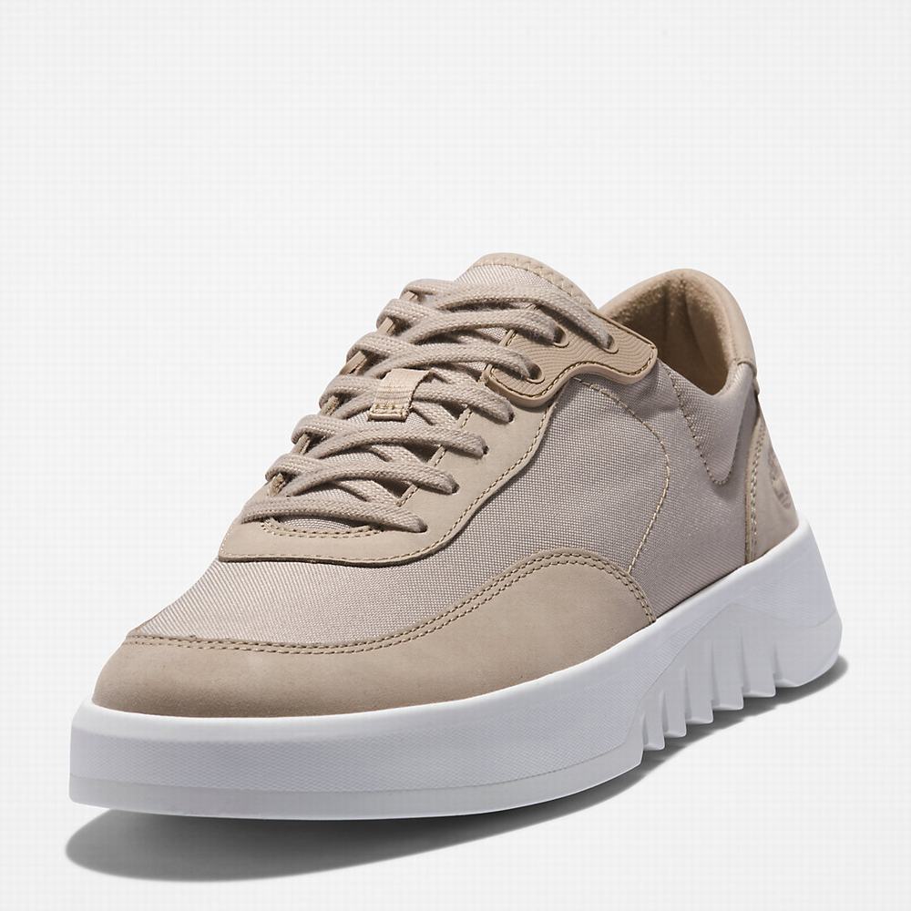 Pánské Tenisky Timberland Supaway Béžový | TI98045-370