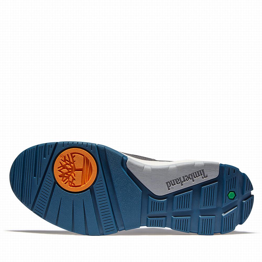 Pánské Tenisky Timberland Tree Racer Leather Šedé | TI41750-814