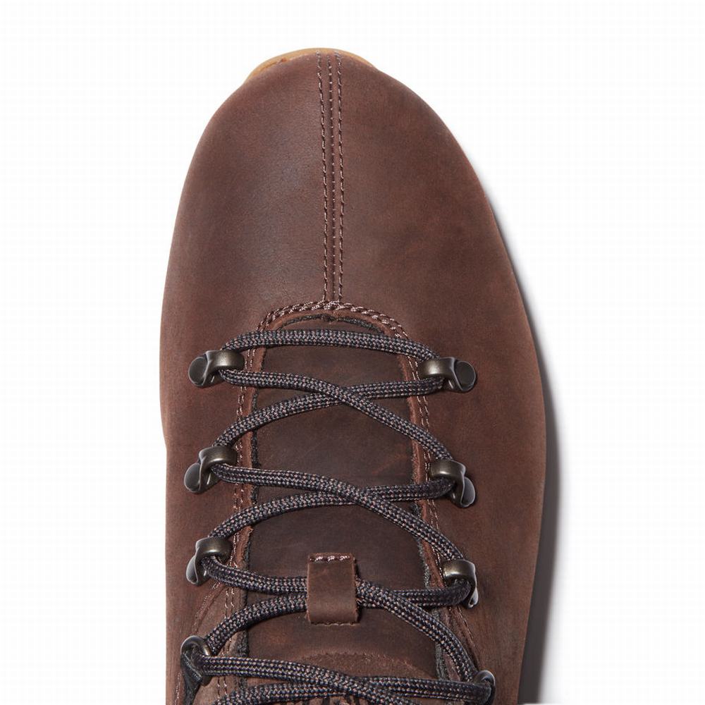 Pánské Trekové Boty Timberland Bartlett Ridge Mid Hiker Tmavě Hnědé | TI64801-475