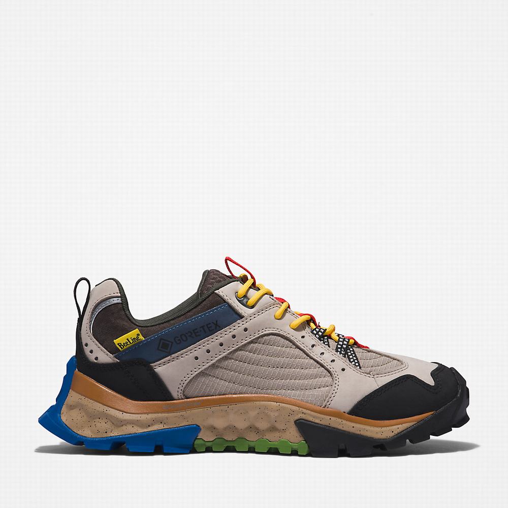 Pánské Trekové Boty Timberland Bee Line x Timberland®  Solar Ridge Béžový | TI08354-143