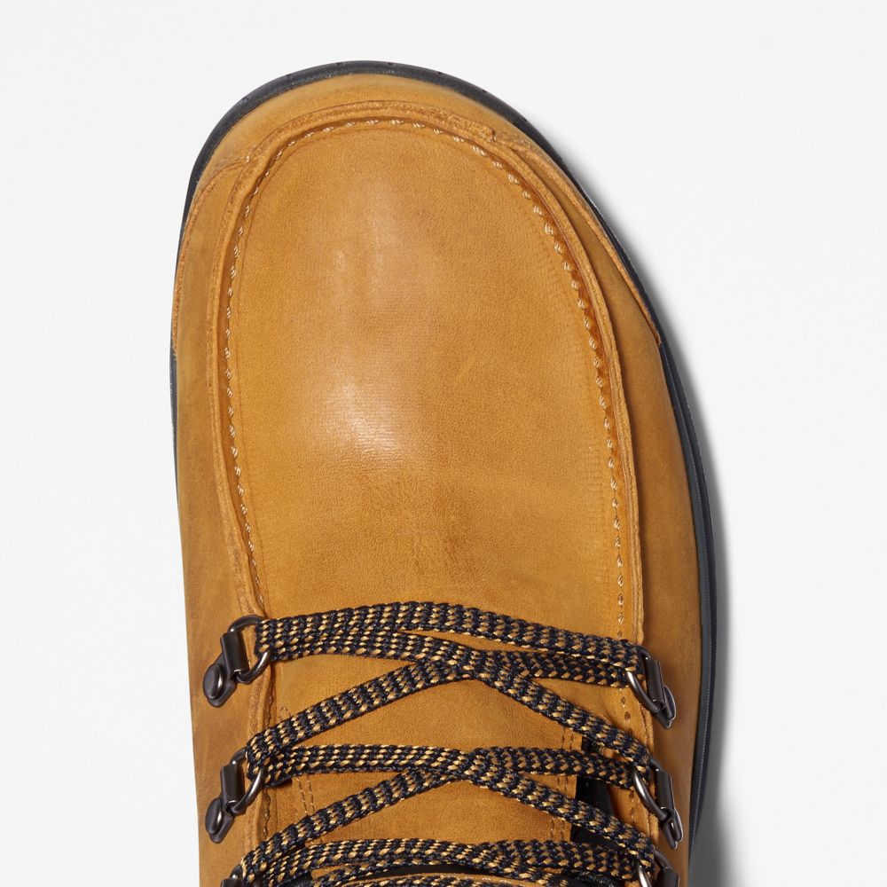 Pánské Trekové Boty Timberland Chillberg Mid Sport Waterproof Hnědé | TI81249-164