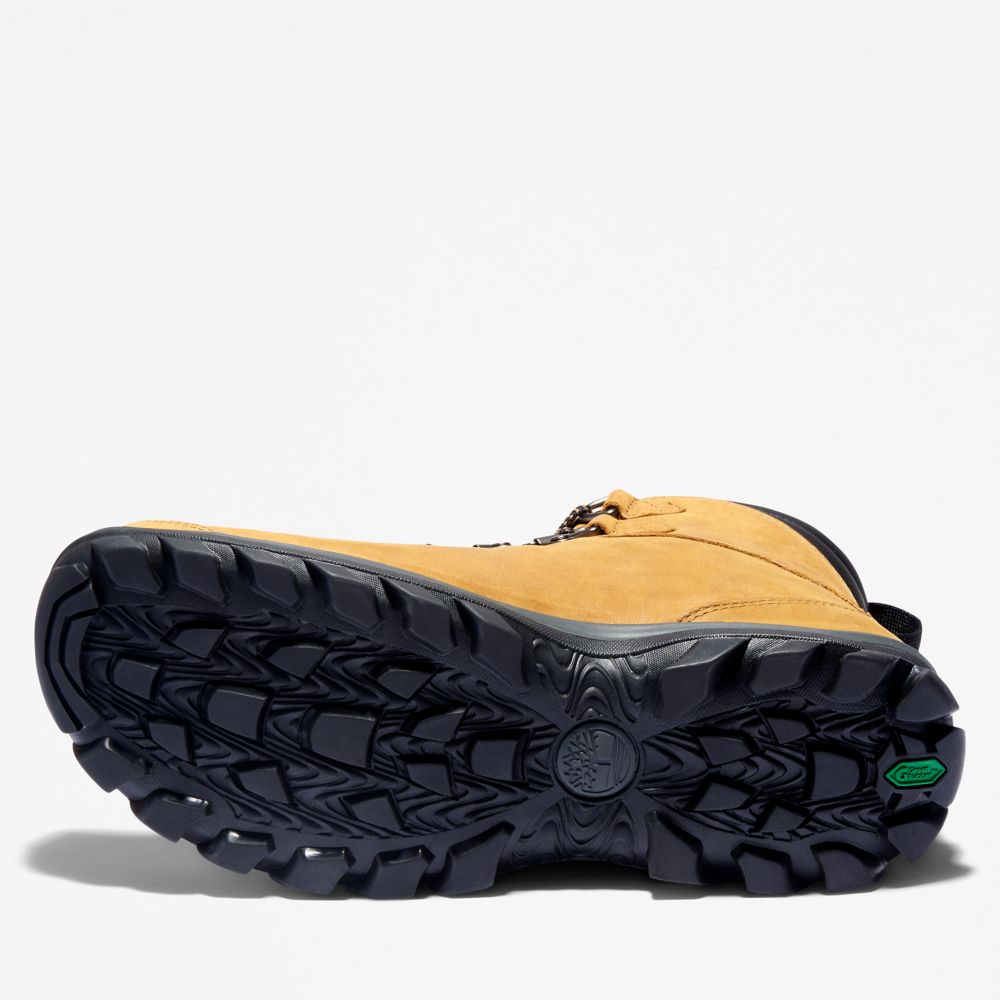 Pánské Trekové Boty Timberland Chillberg Mid Sport Waterproof Hnědé | TI81249-164