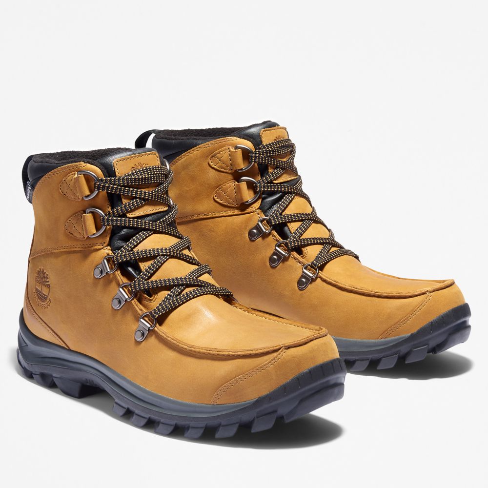 Pánské Trekové Boty Timberland Chillberg Mid Sport Waterproof Hnědé | TI81249-164