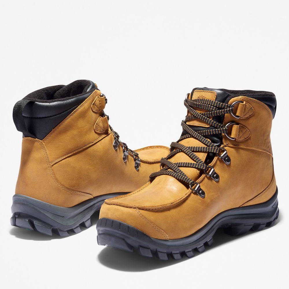 Pánské Trekové Boty Timberland Chillberg Mid Sport Waterproof Hnědé | TI81249-164
