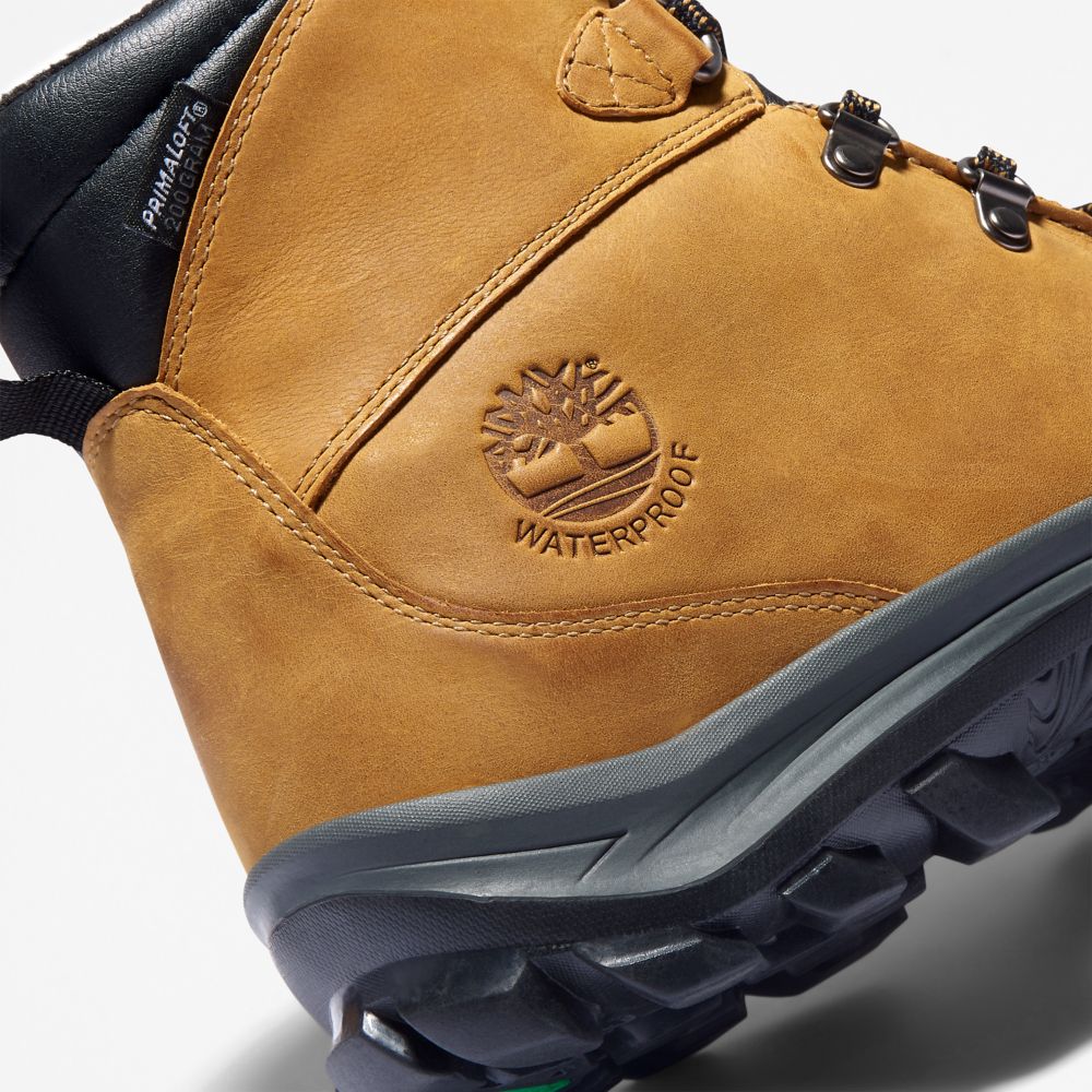 Pánské Trekové Boty Timberland Chillberg Mid Sport Waterproof Hnědé | TI81249-164