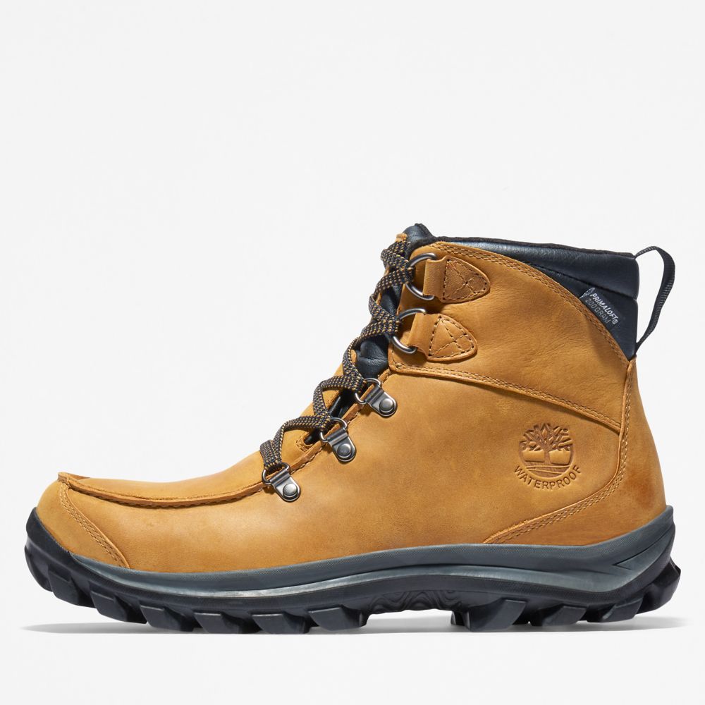 Pánské Trekové Boty Timberland Chillberg Mid Sport Waterproof Hnědé | TI81249-164