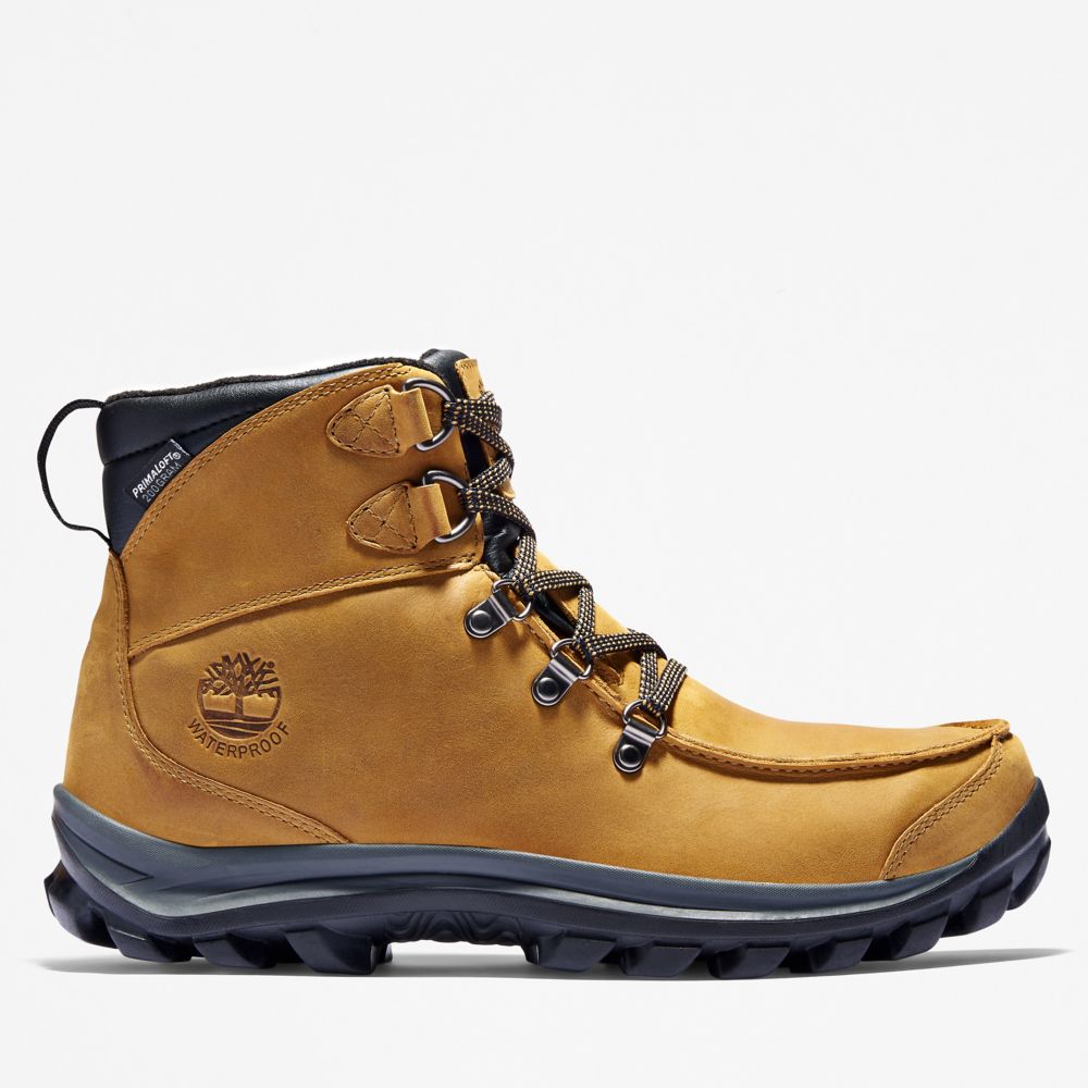 Pánské Trekové Boty Timberland Chillberg Mid Sport Waterproof Hnědé | TI81249-164
