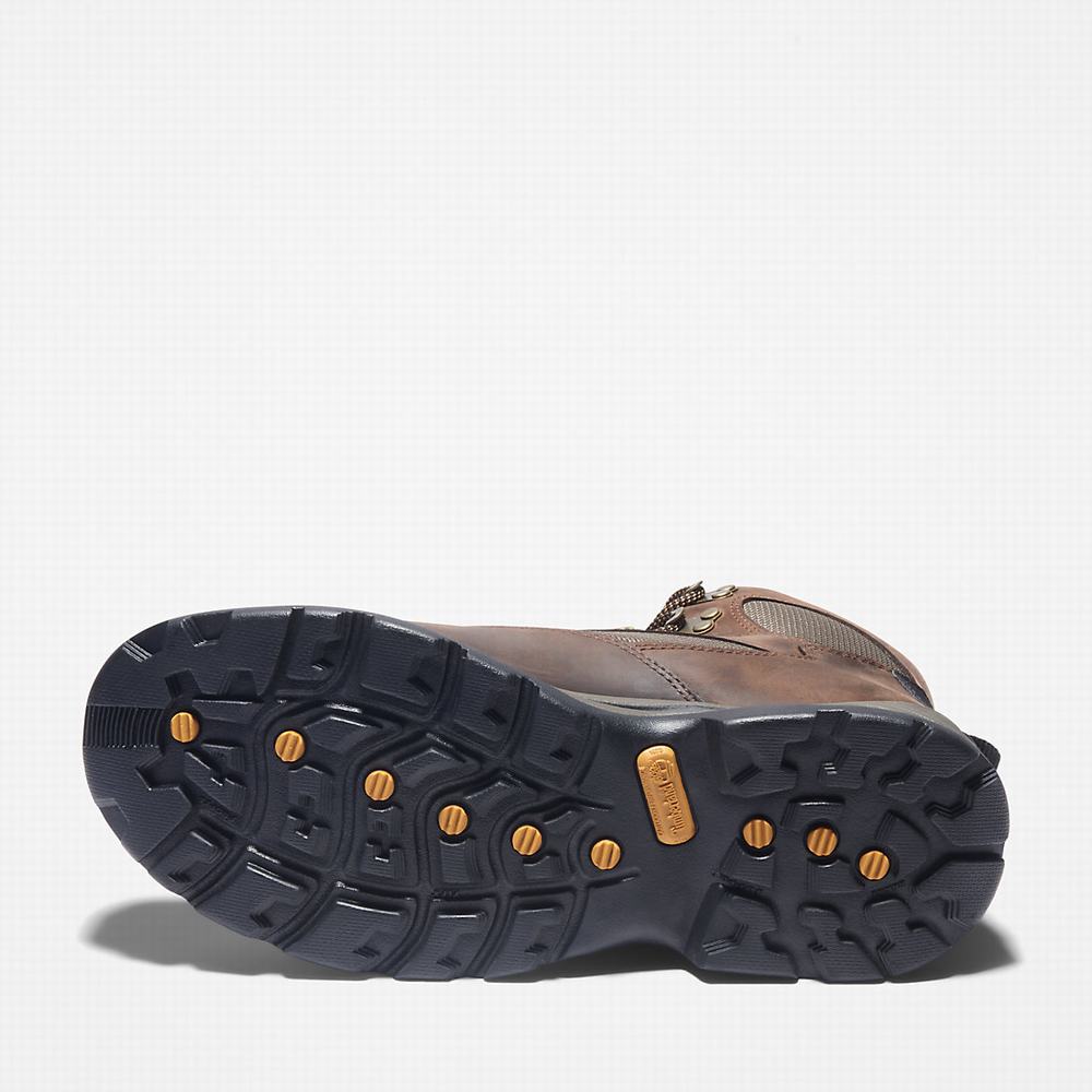 Pánské Trekové Boty Timberland Chocorua Waterproof Hnědé | TI35604-453