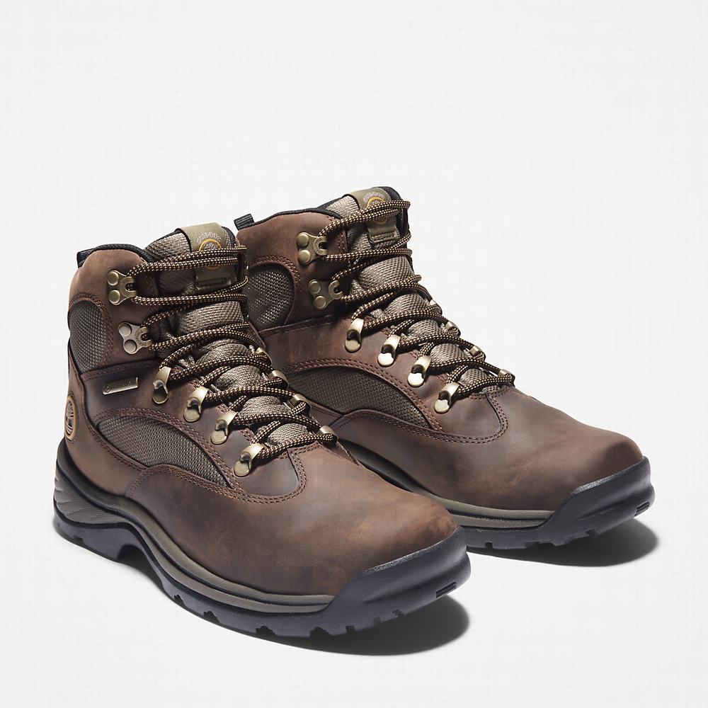 Pánské Trekové Boty Timberland Chocorua Waterproof Hnědé | TI35604-453