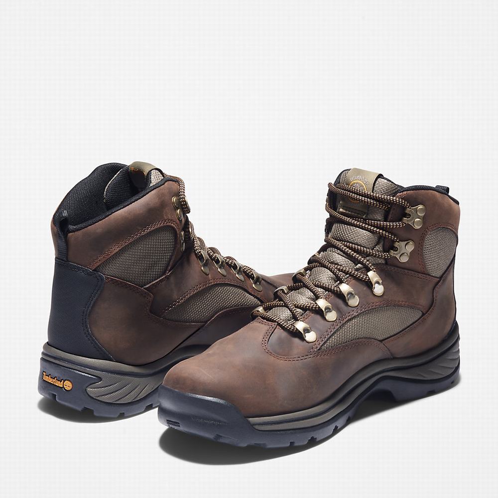 Pánské Trekové Boty Timberland Chocorua Waterproof Hnědé | TI35604-453