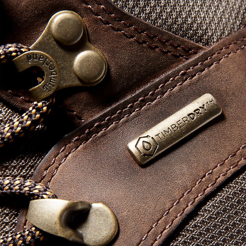 Pánské Trekové Boty Timberland Chocorua Waterproof Hnědé | TI35604-453