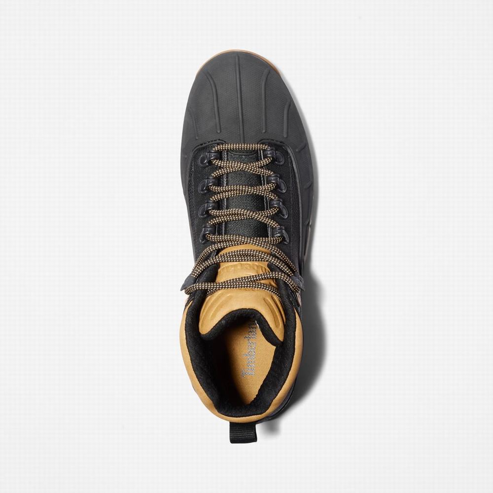 Pánské Trekové Boty Timberland Euro Hiker Shell-Špicí Černé | TI15726-037