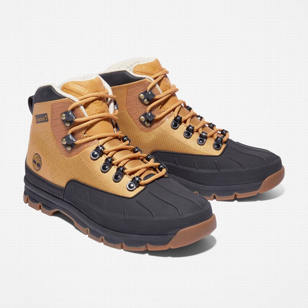 Pánské Trekové Boty Timberland Euro Hiker Shell-Špicí Hnědé | TI68092-914