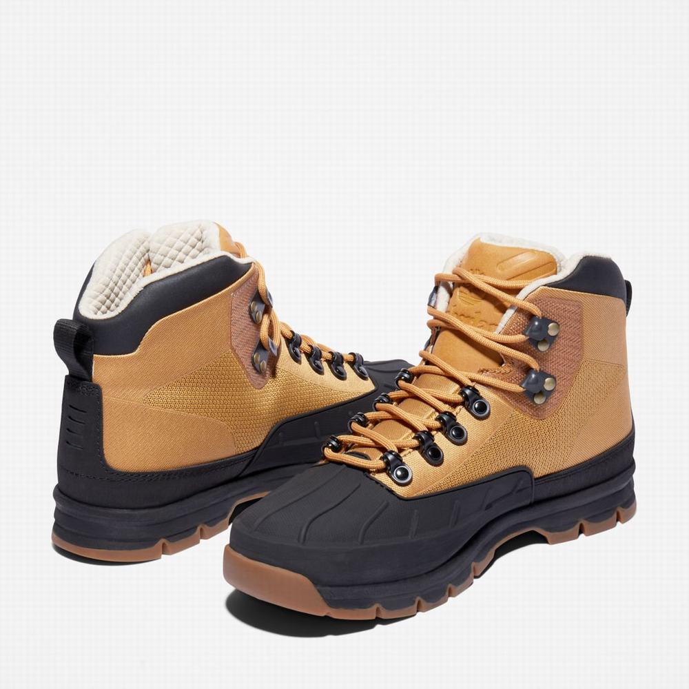 Pánské Trekové Boty Timberland Euro Hiker Shell-Špicí Hnědé | TI68092-914