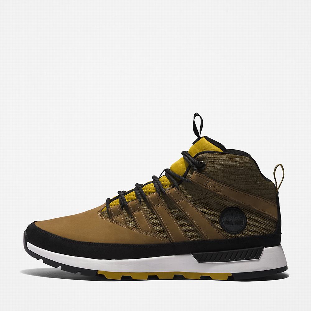 Pánské Trekové Boty Timberland Euro Trekker Zelene | TI62084-603