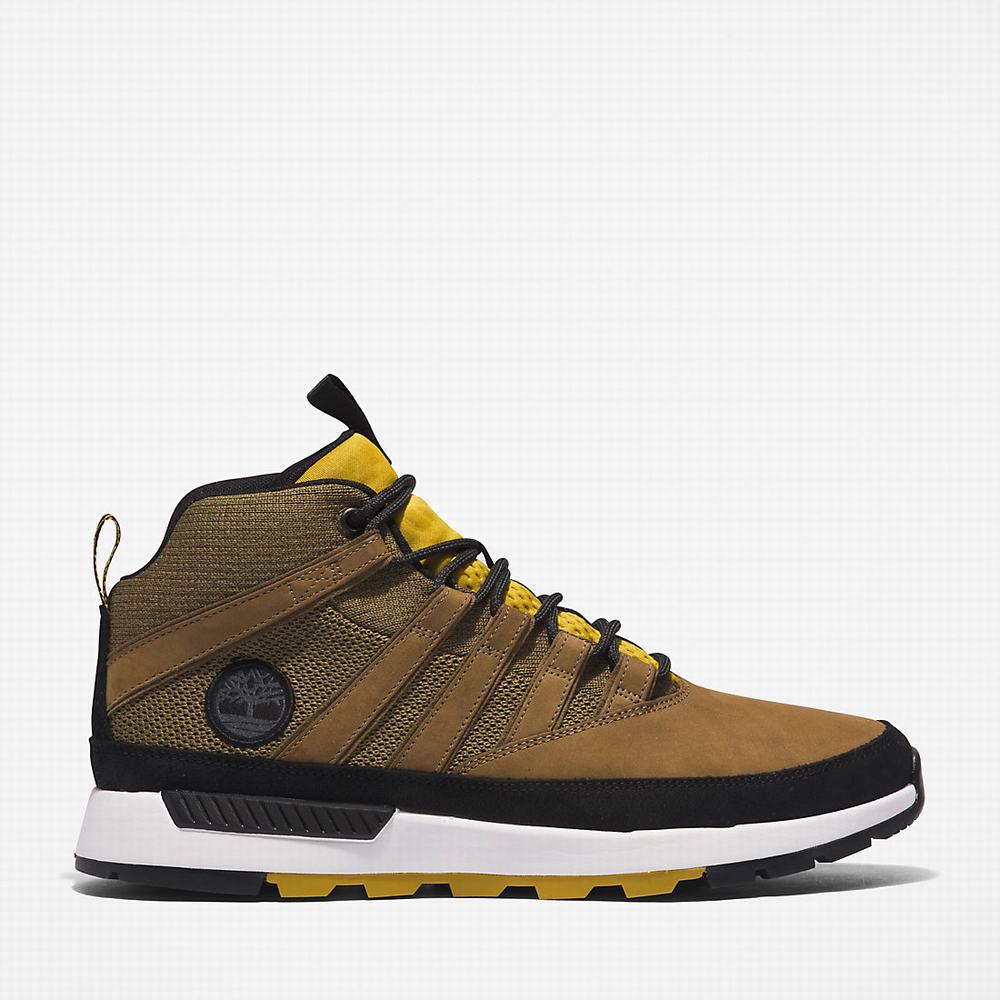 Pánské Trekové Boty Timberland Euro Trekker Zelene | TI62084-603