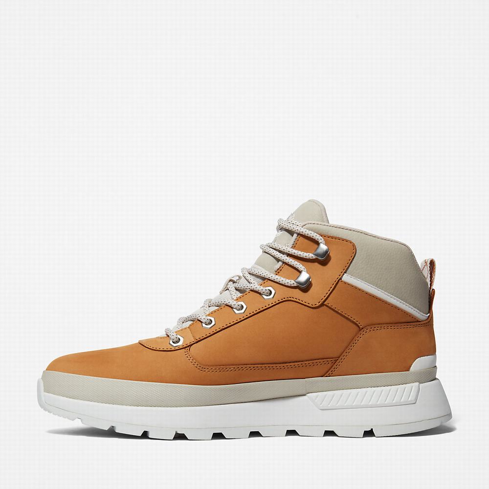 Pánské Trekové Boty Timberland Field Trekker Světle Hnědé | TI02587-852
