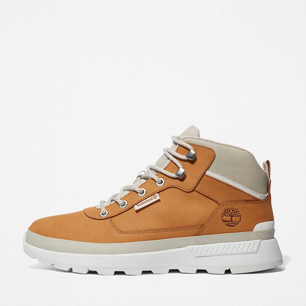 Pánské Trekové Boty Timberland Field Trekker Světle Hnědé | TI02587-852