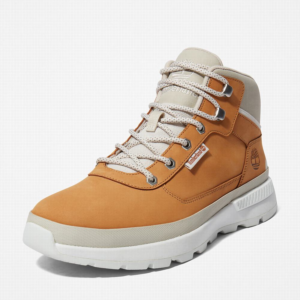 Pánské Trekové Boty Timberland Field Trekker Světle Hnědé | TI02587-852