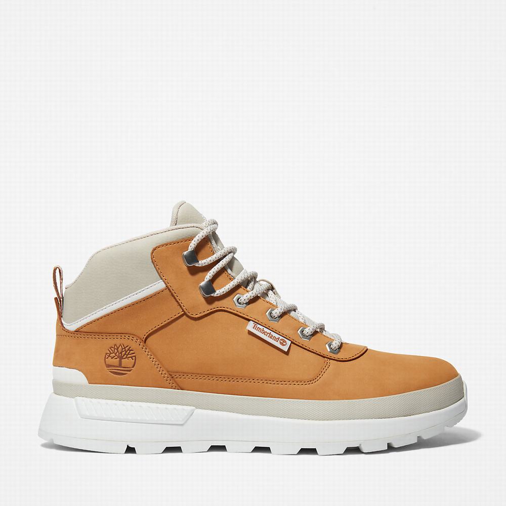 Pánské Trekové Boty Timberland Field Trekker Světle Hnědé | TI02587-852