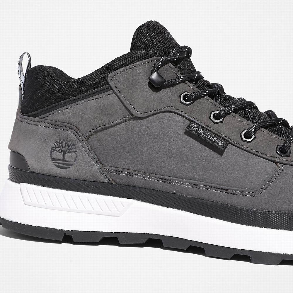 Pánské Trekové Boty Timberland Field Trekker Low Hiker Šedé | TI48920-783