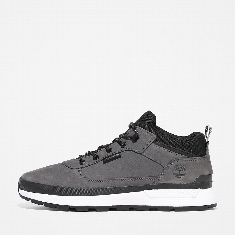 Pánské Trekové Boty Timberland Field Trekker Low Hiker Šedé | TI48920-783