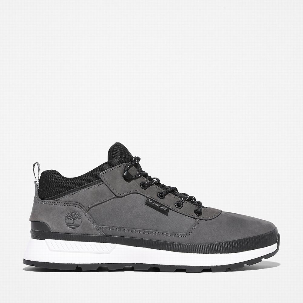 Pánské Trekové Boty Timberland Field Trekker Low Hiker Šedé | TI48920-783