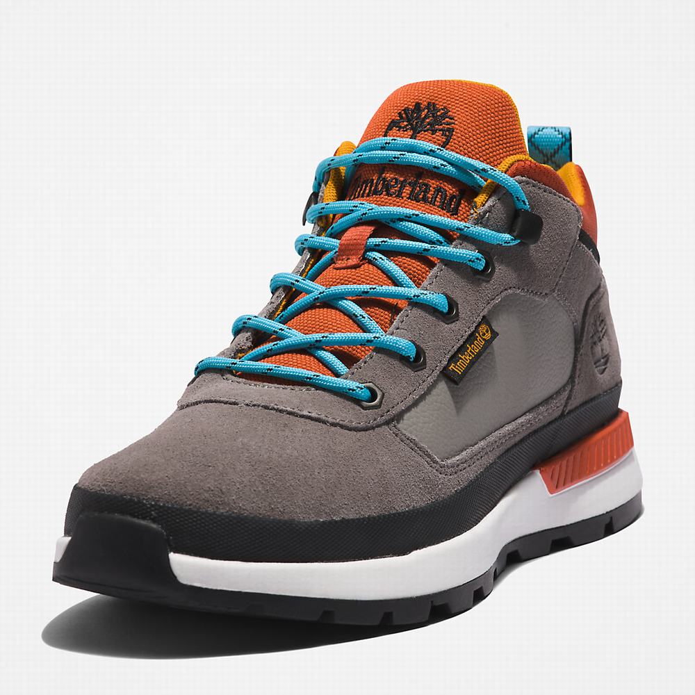 Pánské Trekové Boty Timberland Field Trekker Hiker Tmavě Šedé | TI63042-629