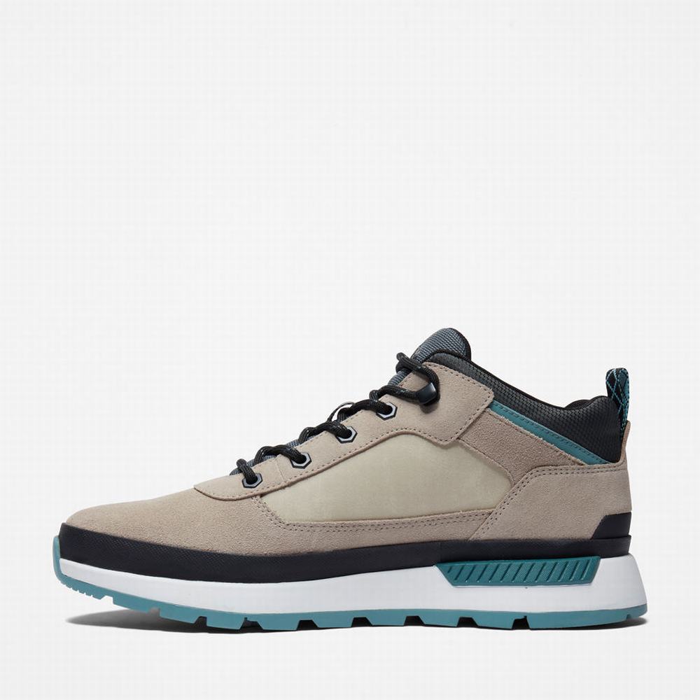 Pánské Trekové Boty Timberland Field Trekker Hiker Béžový | TI85029-906
