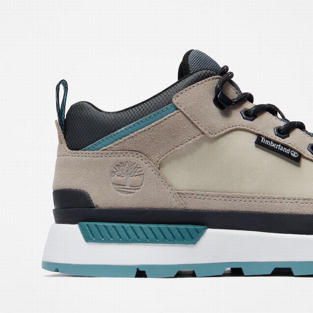 Pánské Trekové Boty Timberland Field Trekker Hiker Béžový | TI85029-906