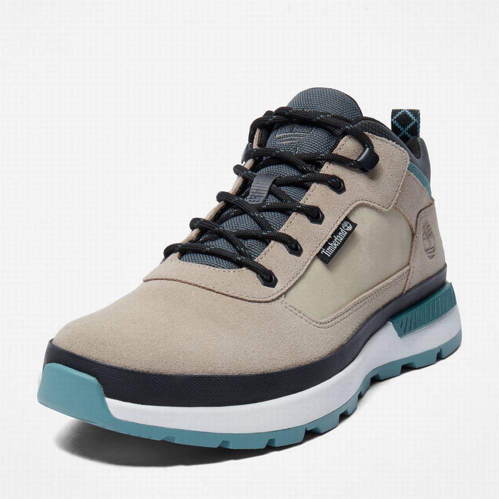 Pánské Trekové Boty Timberland Field Trekker Hiker Béžový | TI85029-906