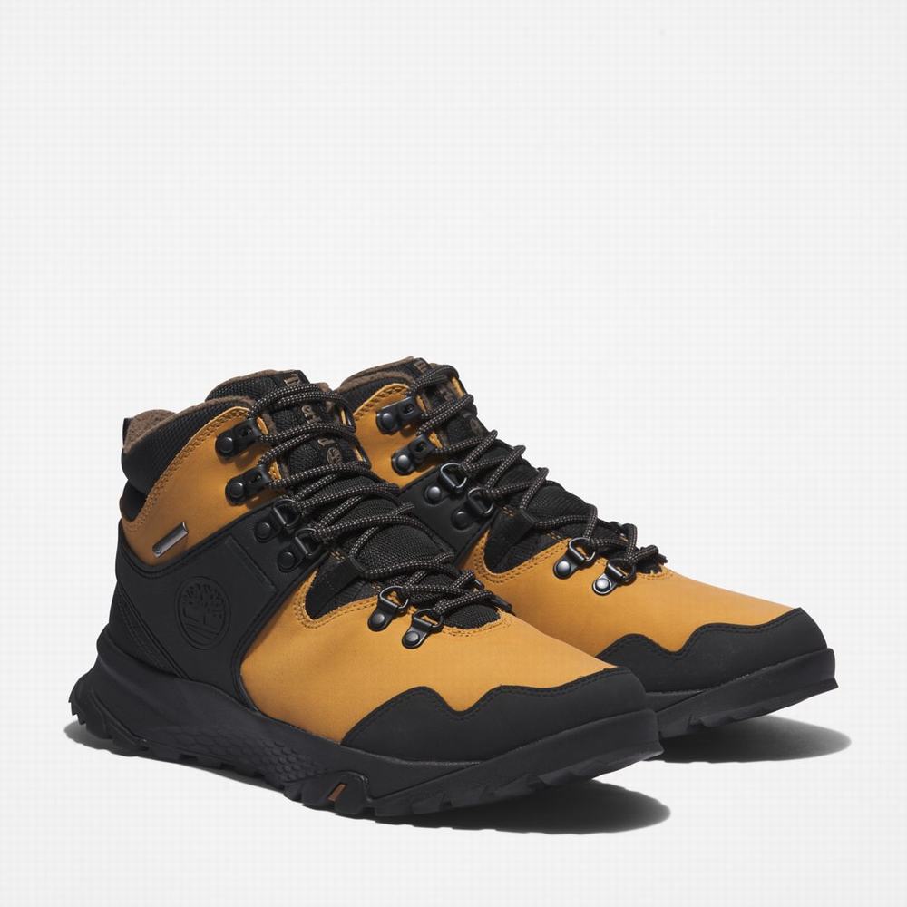 Pánské Trekové Boty Timberland Lincoln Peak Waterproof Hnědé | TI48105-376