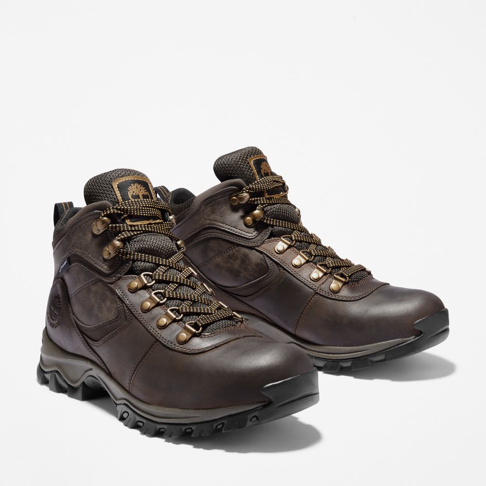 Pánské Trekové Boty Timberland Mt. Maddsen Waterproof Tmavě Hnědé | TI39468-967