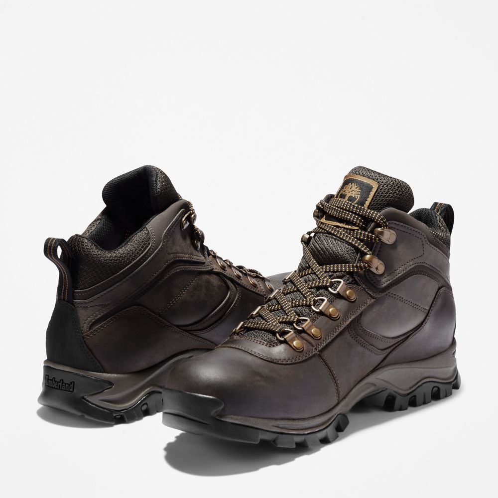 Pánské Trekové Boty Timberland Mt. Maddsen Waterproof Tmavě Hnědé | TI39468-967