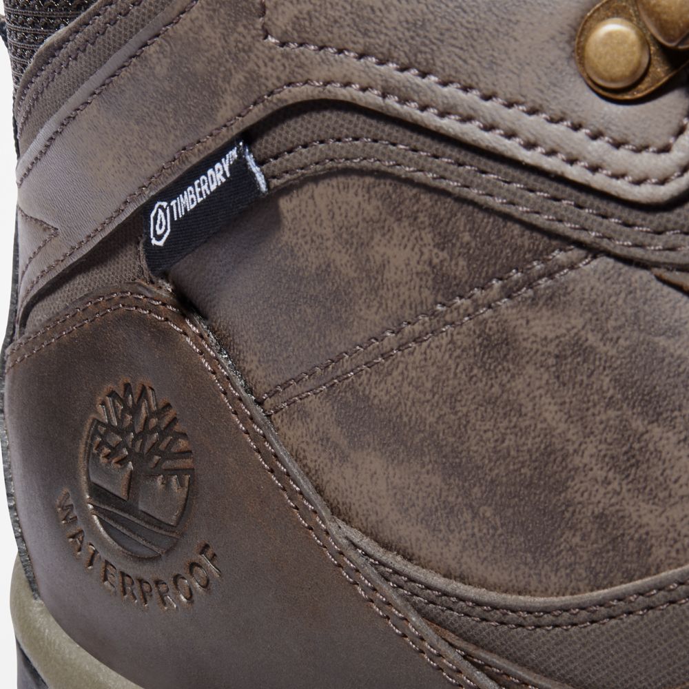 Pánské Trekové Boty Timberland Mt. Maddsen Waterproof Tmavě Hnědé | TI39468-967