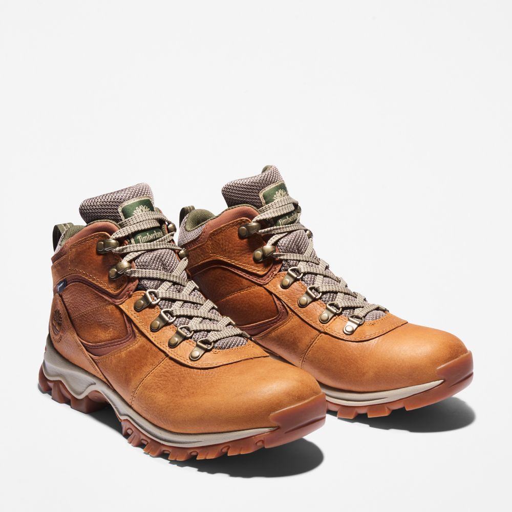 Pánské Trekové Boty Timberland Mt. Maddsen Waterproof Světle Hnědé | TI67832-015