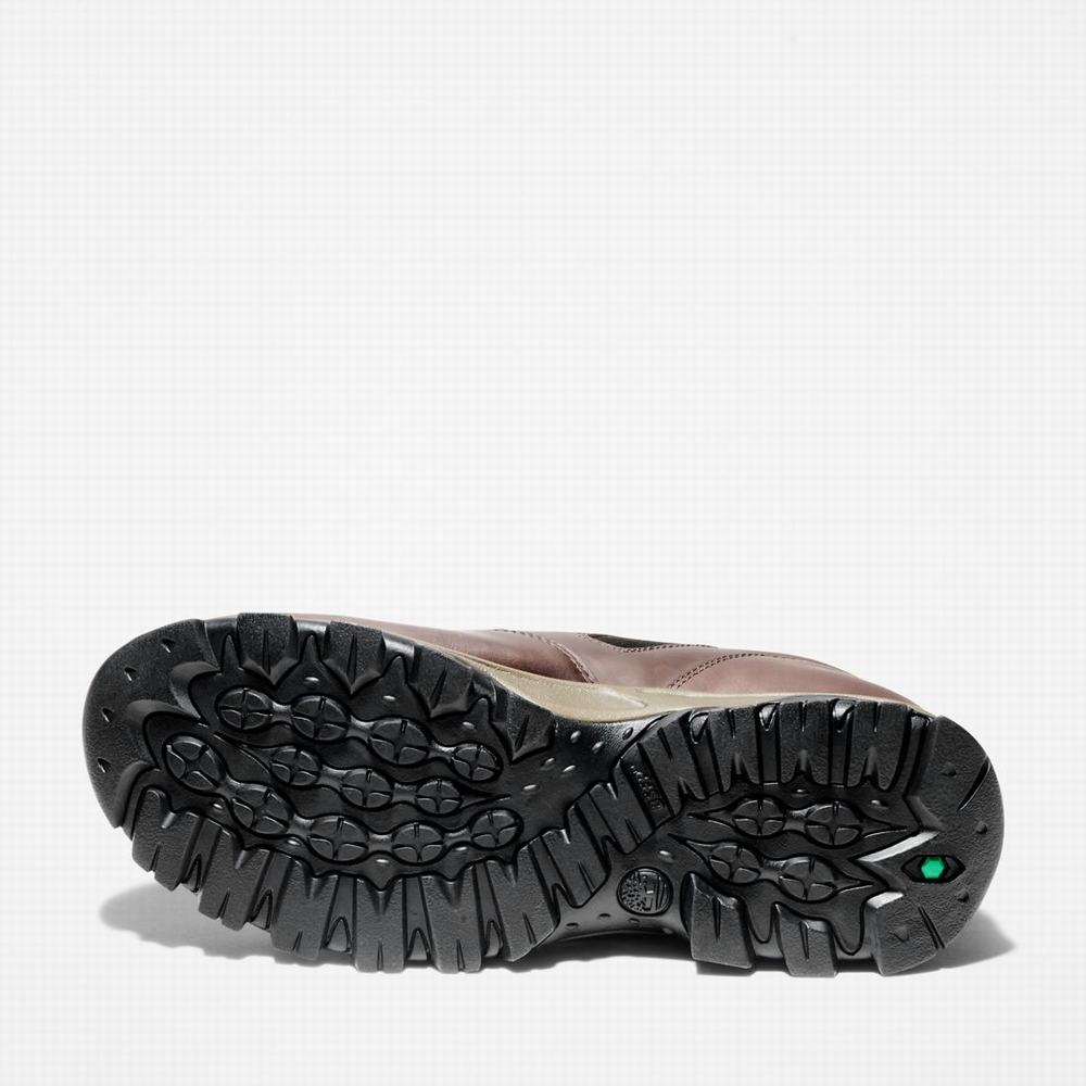 Pánské Trekové Boty Timberland Mt. Maddsen Slip-On Tmavě Hnědé | TI73942-351