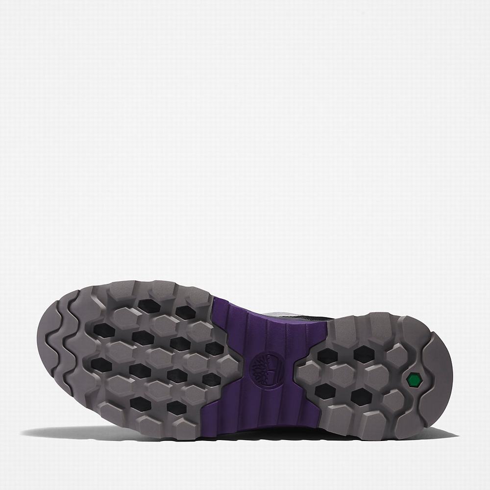 Pánské Trekové Boty Timberland Solar Wave LT GreenStride™ Hiker Béžový | TI40569-942