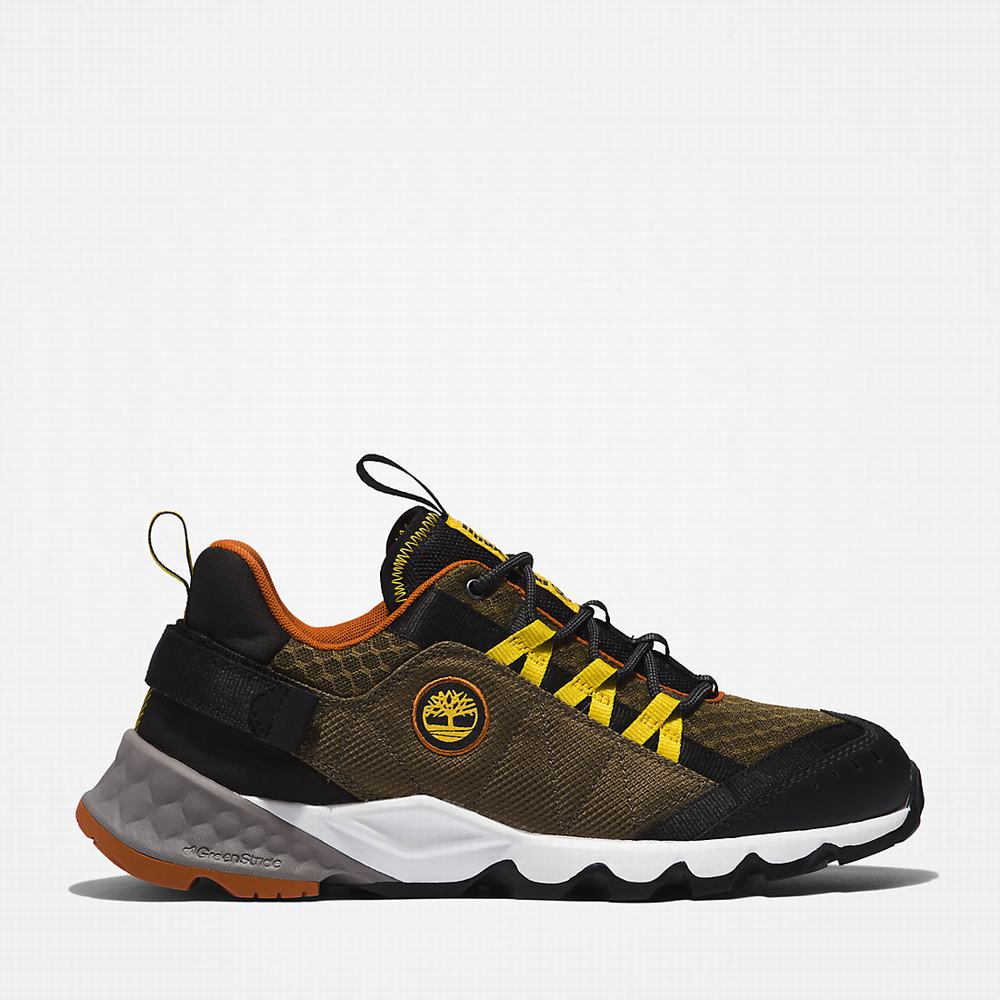 Pánské Trekové Boty Timberland Solar Wave Zelene | TI73650-068