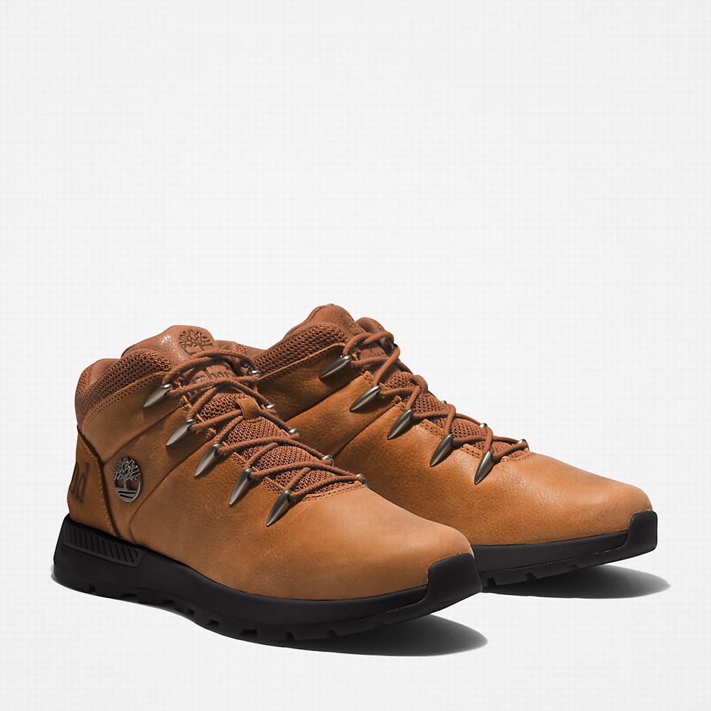 Pánské Trekové Boty Timberland Sprint Trekker Mid Hnědé | TI50392-307