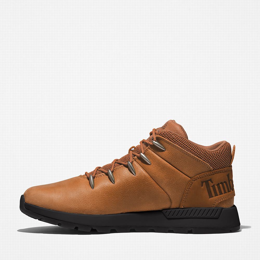 Pánské Trekové Boty Timberland Sprint Trekker Mid Hnědé | TI50392-307