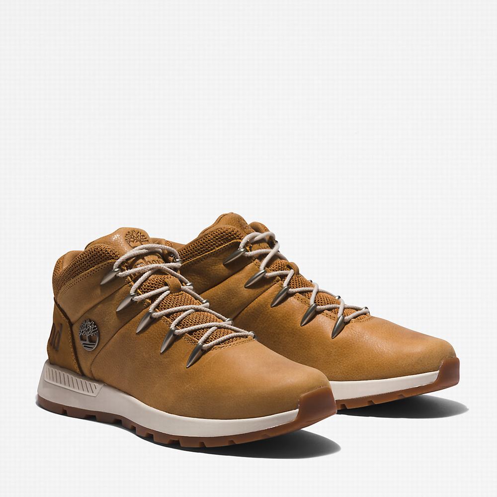 Pánské Trekové Boty Timberland Sprint Trekker Mid Hnědé | TI76940-513