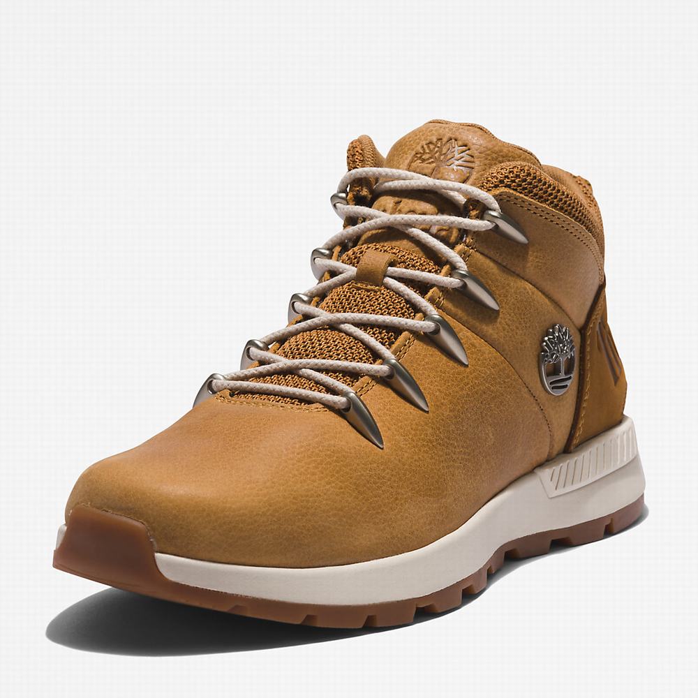 Pánské Trekové Boty Timberland Sprint Trekker Mid Hnědé | TI76940-513