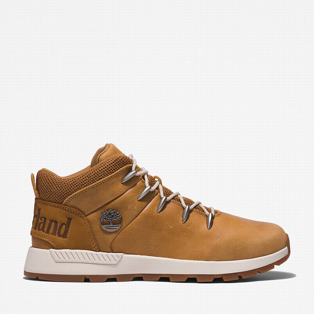 Pánské Trekové Boty Timberland Sprint Trekker Mid Hnědé | TI76940-513